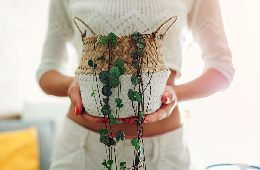 mujer sostiene una planta con su cubremacetas decorativo de mimbre.