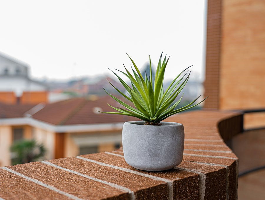 Pequeña maceta de cemento con una planta, en el poyete del balcón.